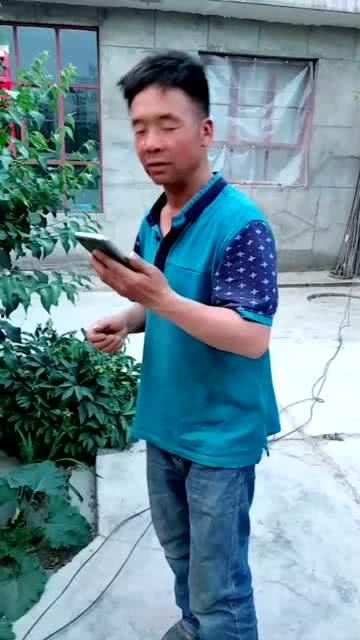 大伯哥视频,揭秘家族传承与温馨时光