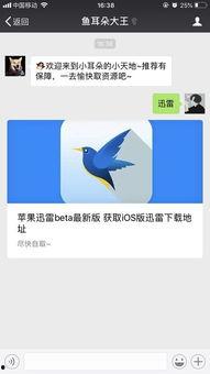 中国城迅雷在线播放,畅享中国影视盛宴