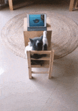 丝袜动漫gif动态图,性感诱惑，一瞬间的视觉盛宴