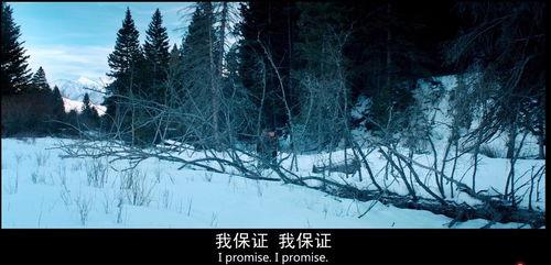 冰雪之行在线观看免费