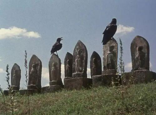 日本阉割电影,探讨文化、性别与权力