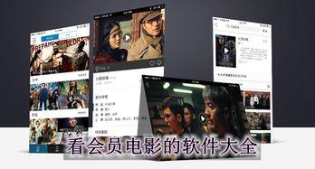 会员电影在线观看免费,免费观影盛宴
