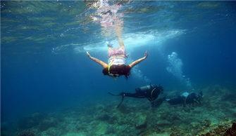 潜水的日本漫画,揭秘潜水的奇幻世界